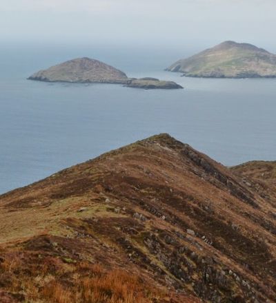 P1000685