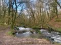 IMG 5081