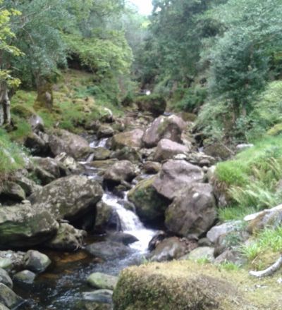 image 10 