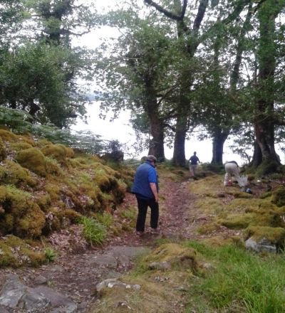 image 12 