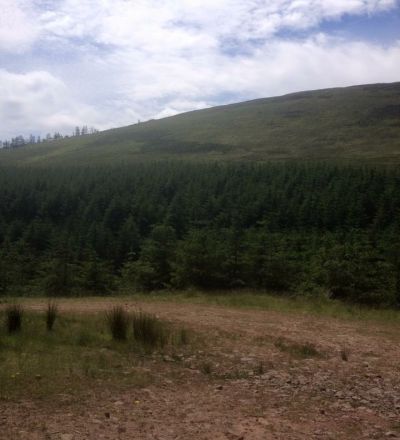Glengarra 5