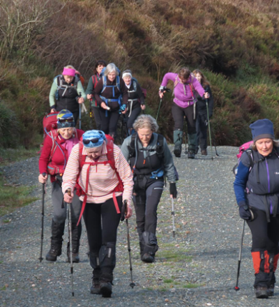friendshipwalk25